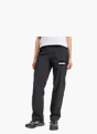 adidas Terrex Multi Climaproof Two-Layer Regenhose Schwarz 156320 2