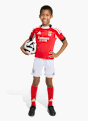 adidas Benfica Lissabon 25/26 Kids Mini-Heimausrüstung Rot 141566 3