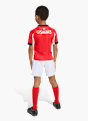 adidas Benfica Lissabon 25/26 Kids Mini-Heimausrüstung Rot 141566 4