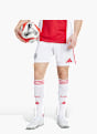 adidas Ajax 25/26 Heimshorts Weiß 142576 2
