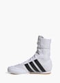 adidas BOX HOG KIDS CLASSIC Weiß 169251 3
