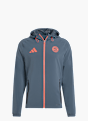 adidas FC Bayern Tiro 25 Competition Vis Tech Travel Jacke Grau 141279 1
