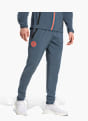 adidas FC Bayern München Tiro 25 Competition Vis Tech Travel Hose Grau 143361 2