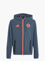 adidas FC Bayern München Tiro 25 Competition Vis Tech Travel Jacke für Kinder Grau 143300 1