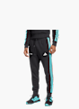 adidas MERCEDES - AMG PETRONAS FORMULA ONE TEAM DNA HOSE Schwarz 131613 2