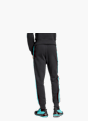 adidas MERCEDES - AMG PETRONAS FORMULA ONE TEAM DNA HOSE Schwarz 131613 3