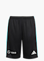 adidas MERCEDES - AMG PETRONAS FORMULA ONE TEAM DNA SHORTS Schwarz 143359 1