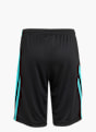 adidas MERCEDES - AMG PETRONAS FORMULA ONE TEAM DNA SHORTS Schwarz 143359 2
