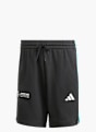 adidas MERCEDES - AMG PETRONAS FORMULA ONE TEAM DNA SHORTS Schwarz 133843 1