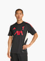 adidas FC Liverpool Tiro 25 Competition Trainingstrikot Schwarz 141557 3