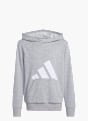 adidas Essentials Kids Hoodie Grau 142531 1