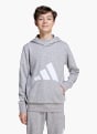 adidas Essentials Kids Hoodie Grau 142531 2