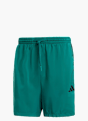 adidas Essentials 3-Streifen Chelsea Shorts Grün 131990 1