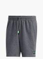 adidas MERCEDES-BENZ AMG PETRONAS FORMULA ONE TEAM PREMIUM SWEAT SHORTS Grau 141298 1