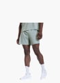 adidas adi365 FORMOTION Shorts Grün 156282 2