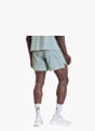 adidas adi365 FORMOTION Shorts Grün 156282 3