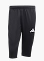 adidas Entrada26 halblange Hose Schwarz 169707 1