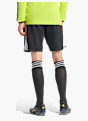 adidas SCHIEDSRICHTERSHORTS 26 Schwarz 168646 3