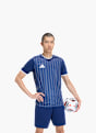 adidas Entrada26 Grafik-Trikot Blau 168927 3