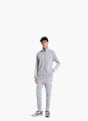 adidas 3-STREIFEN FLEECE TRAININGSANZUG Grau 156424 2