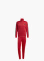 adidas DAYREADY TRAININGSANZUG Rot 156422 1