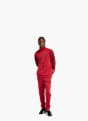 adidas DAYREADY TRAININGSANZUG Rot 156422 2