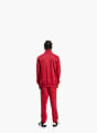 adidas DAYREADY TRAININGSANZUG Rot 156422 3