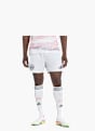 adidas FC Bayern München 25/26 Auswärtsshorts Weiß 132421 2