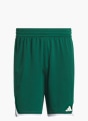 adidas 3G Speed Basketball AEROREADY Shorts Grün 168769 1