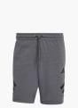 adidas Future Icons 3-Streifen Shorts Grau 156374 1