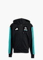 adidas MERCEDES - AMG PETRONAS FORMULA 1 TEAM DNA KAPUZENJACKE Schwarz 157352 1