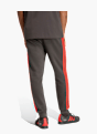 adidas AUDI REVOLUT F1 TEAM DNA HOSE Schwarz 169233 3