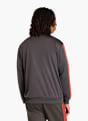 adidas AUDI REVOLUT F1 TEAM DNA TRAININGSJACKE Schwarz 168826 3