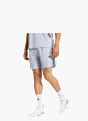 adidas TECH ESSENTIALS WORKOUT 3-STREIFEN SHORTS Grau 156102 2