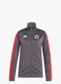 adidas AUDI&nbsp;REVOLUT&nbsp;F1&nbsp;TEAM&nbsp;DNA&nbsp;TRAININGSJACKE Grau 168664 1