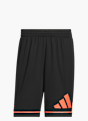 adidas adidas Basketball Badge of Sport Shorts Schwarz 168814 1