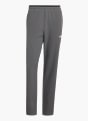 adidas Terrex Multi Liteflex Hose Grau 168883 1