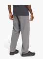 adidas Terrex Multi Liteflex Hose Grau 168883 3