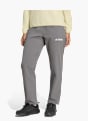 adidas Terrex Multi Liteflex Hose Grau 168884 2