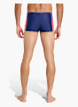 adidas GRADIENT SWIM BOXERS Blau 168675 3