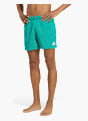 adidas BADESHORTS, 13&nbsp;CM Grün 169693 2