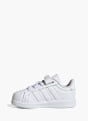 adidas Streettalk Weiß 169315 3