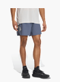 adidas adi365 FORMOTION Shorts Grau 168798 2