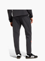 adidas AUDI&nbsp;REVOLUT&nbsp;F1&nbsp;TEAM&nbsp;DNA&nbsp;VIS&nbsp;TECH&nbsp;HOSE Schwarz 169472 3
