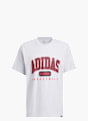adidas Collegiate Grafik T-Shirt Grau 169534 1