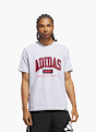 adidas Collegiate Grafik T-Shirt Grau 169534 2