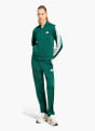adidas DAYREADY TRAININGSANZUG Grün 168888 2