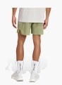 adidas adi365 FORMOTION Shorts Grün 168799 3