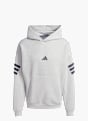 adidas Future Icons 3-Streifen Hoodie Grau 142432 1