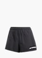 adidas Terrex Multi Light Shorts Schwarz 142800 1